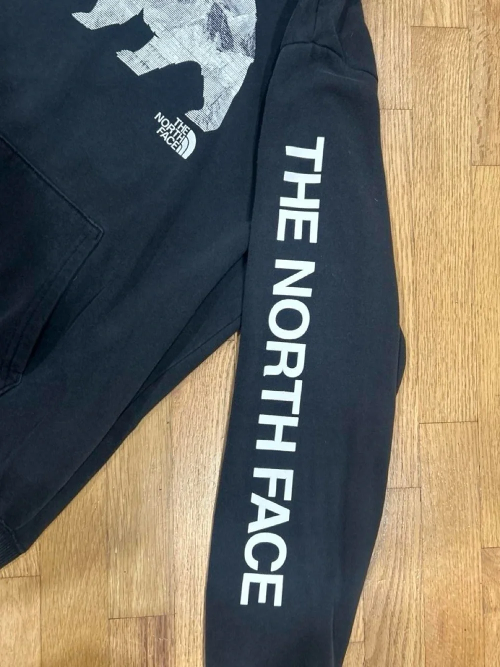 The North Face Black Crewneck Hoodie with Bear Graphic